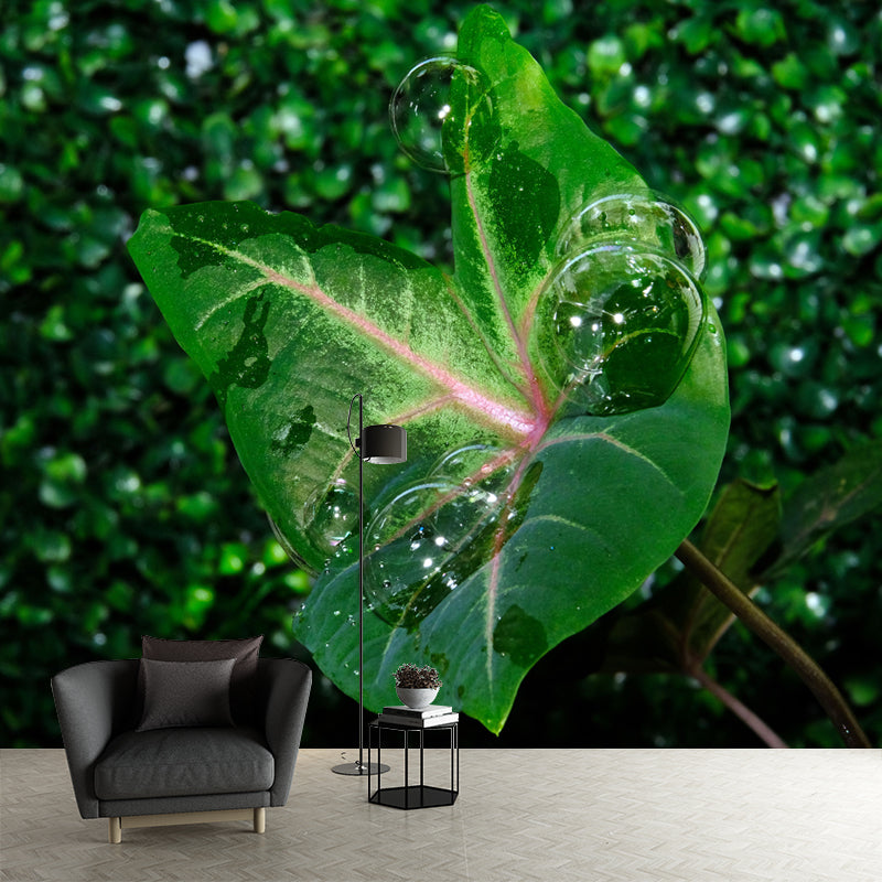 Green Caladium Mural Decal Moisture Resistant for Reading Room, Made to Measure