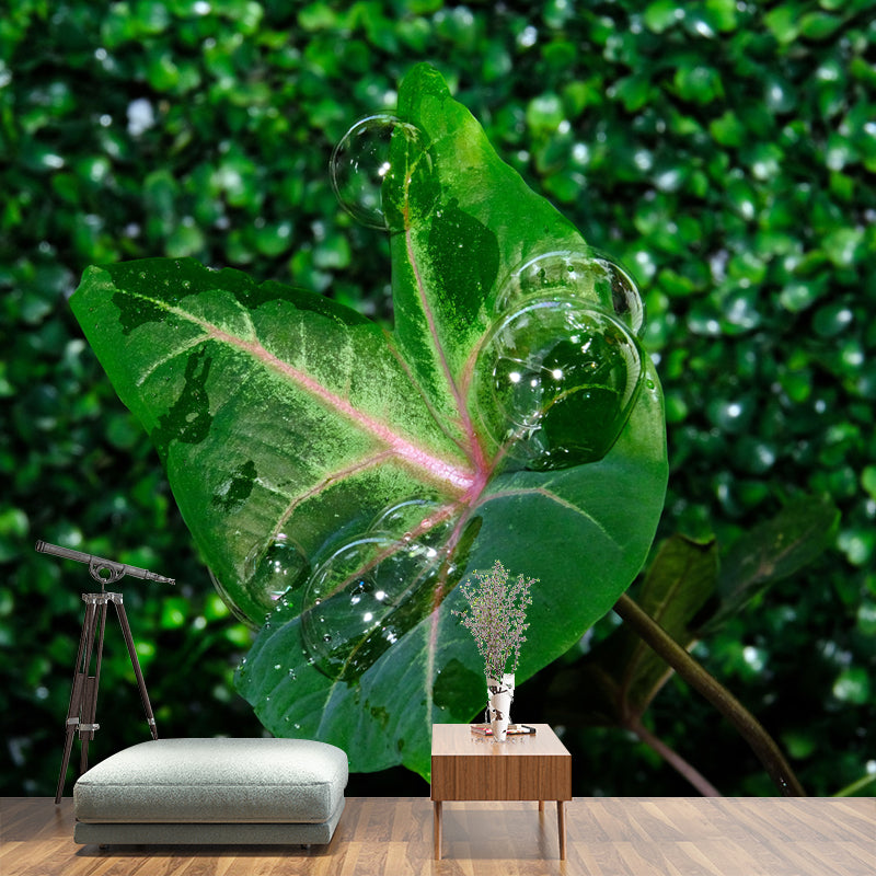 Green Caladium Mural Decal Moisture Resistant for Reading Room, Made to Measure