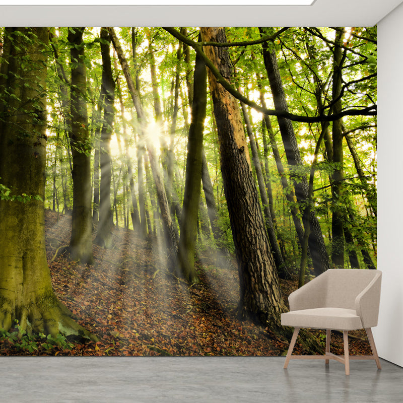 Modern Forest Scenery Mural for Sitting Room Home Decoration, Moisture-Resistant