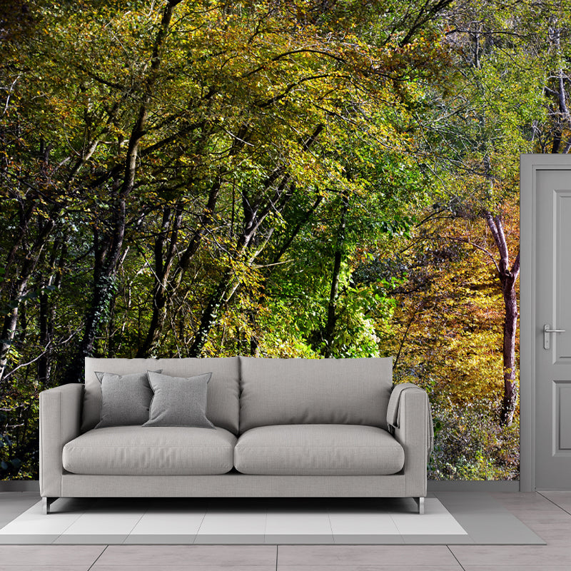 Forest Scenery Wall Mural for Sitting Room Minimalist Decoration, Stain Resistant