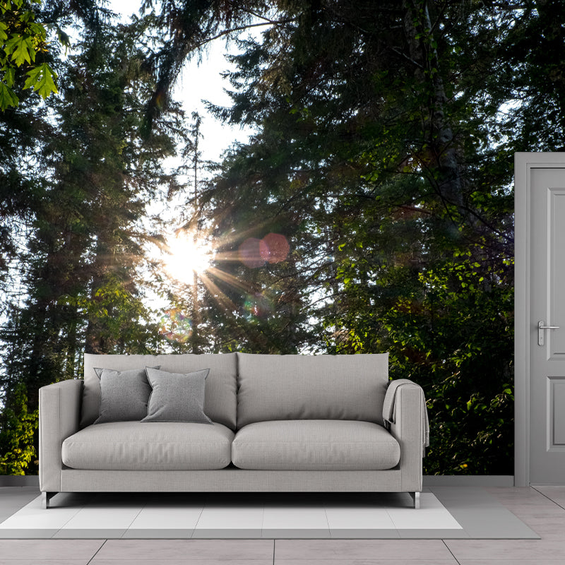 Forest Scenery Wall Mural for Living Room Bedroom Decoration, Made to Measure