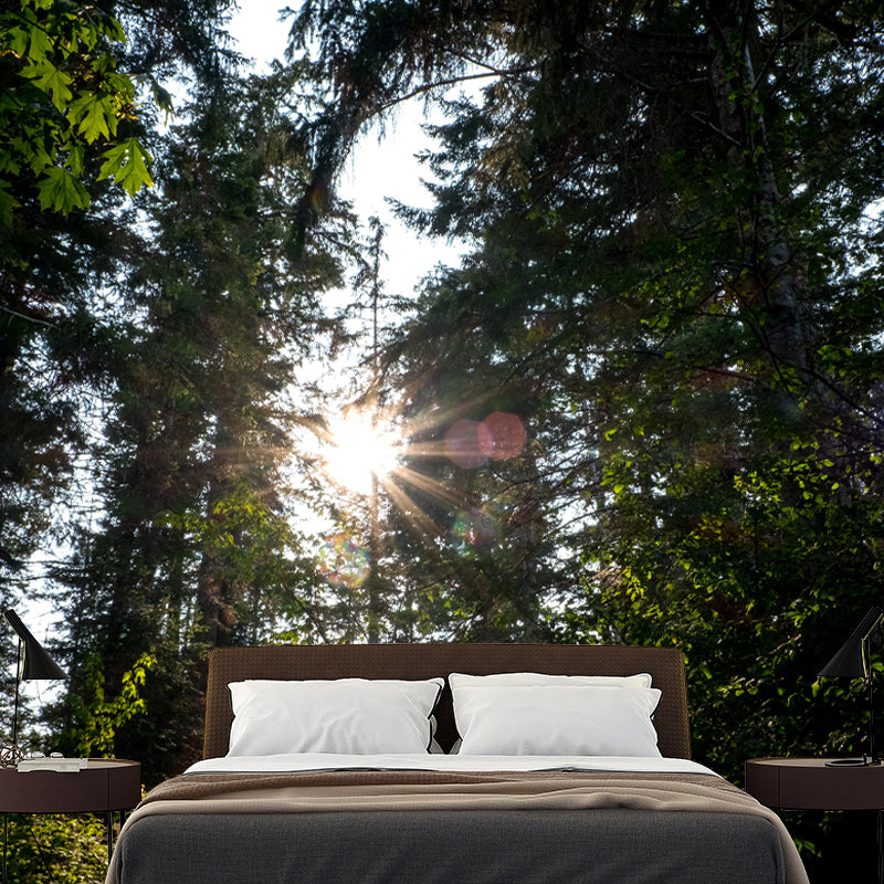 Forest Scenery Wall Mural for Living Room Bedroom Decoration, Made to Measure