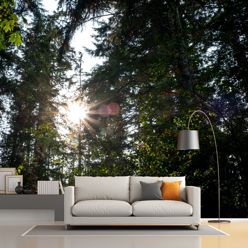 Forest Scenery Wall Mural for Living Room Bedroom Decoration, Made to Measure