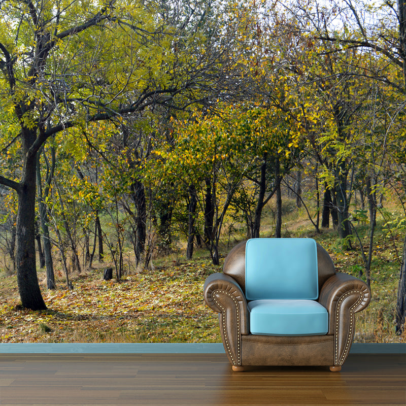 Forest Scenery Wall Mural for Living Room Bedroom Decoration, Made to Measure