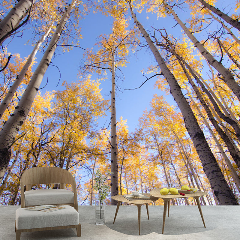 Forest Scenery Wall Mural for Living Room Bedroom Decoration, Made to Measure