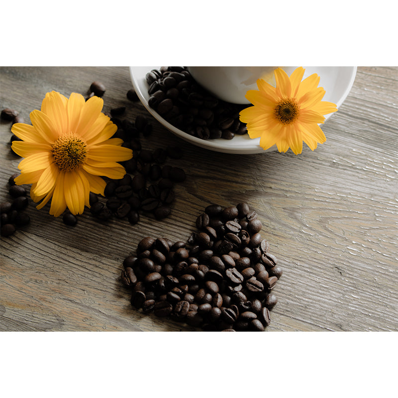 Aromatic Coffee Beans Mural Photography Wall Covering for Coffee Shop, Waterproofing