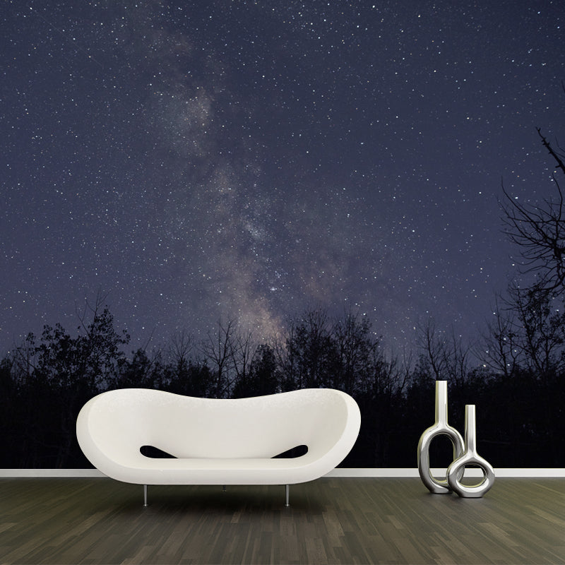 Universe Photo Wall Mural for Sleeping Room Gust Room Water Resistant, Custom Size Available