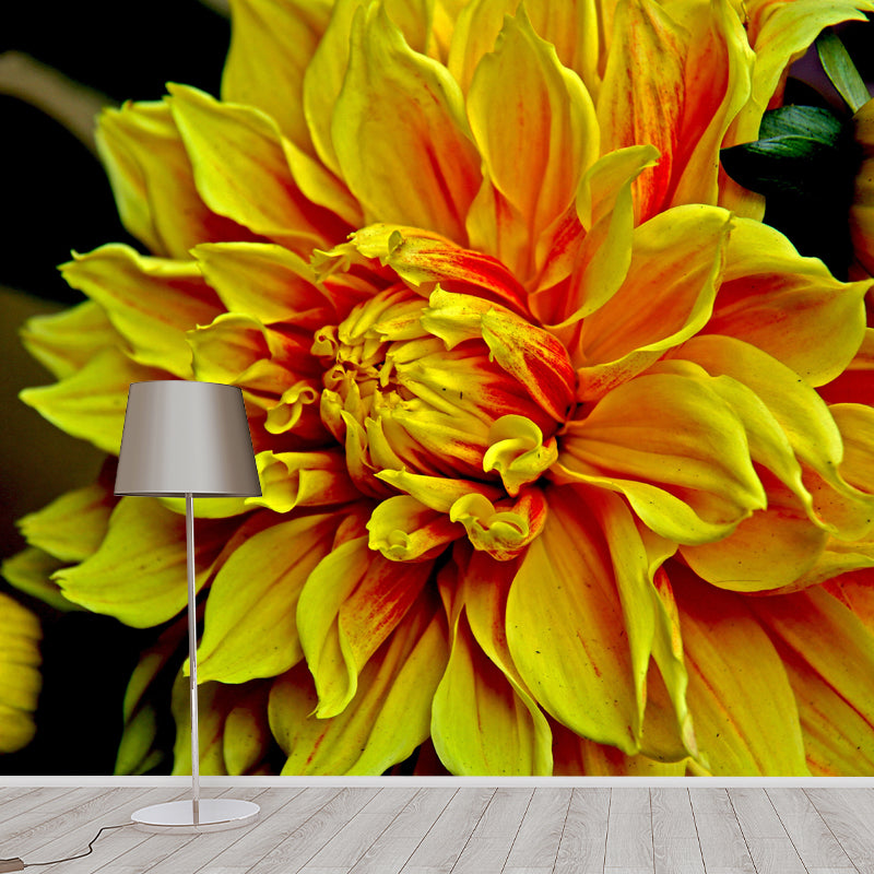 Dahlia Wall Covering for Accent Wall Water Resistant Mural, Custom Size Available