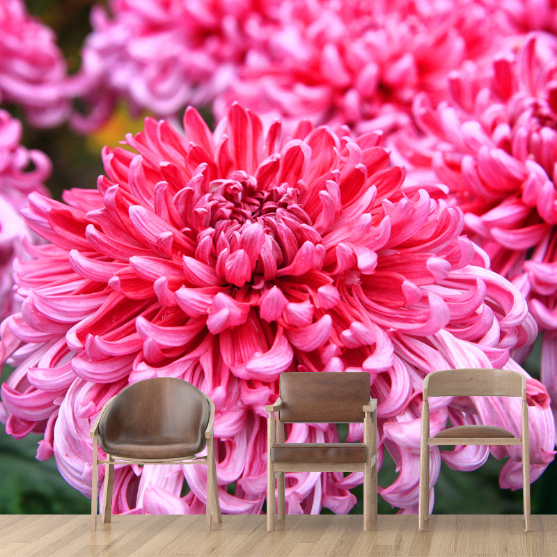 Dahlia Wall Covering for Accent Wall Water Resistant Mural, Custom Size Available