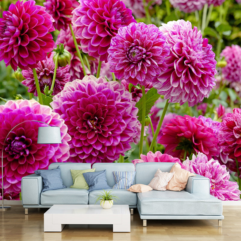 Bright Dahlia Mural Wallpaper Minimalist Wall Art, Customized Size Available