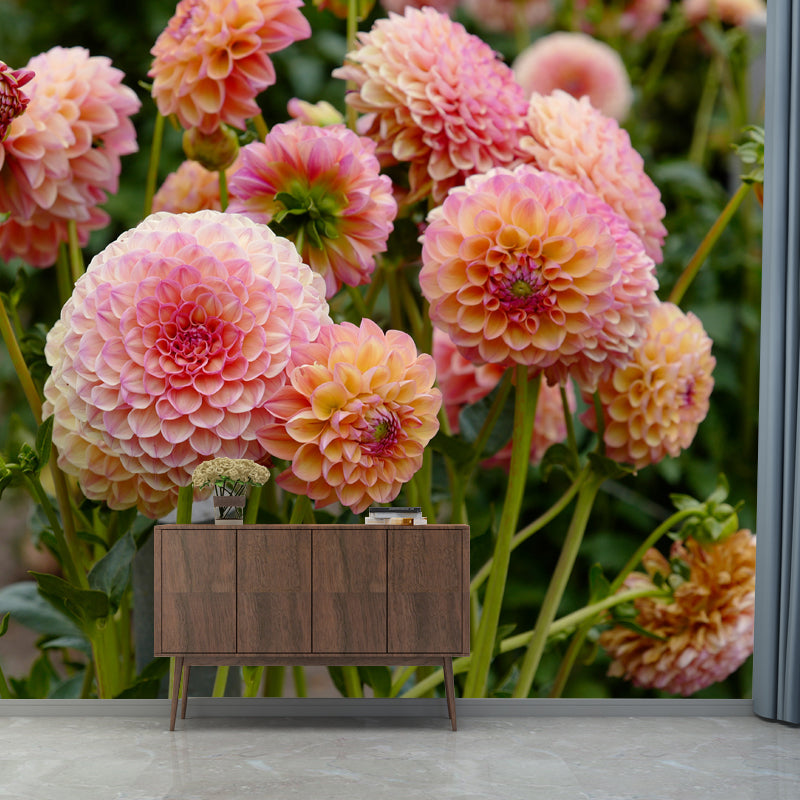 Bright Dahlia Mural Wallpaper Minimalist Wall Art, Customized Size Available