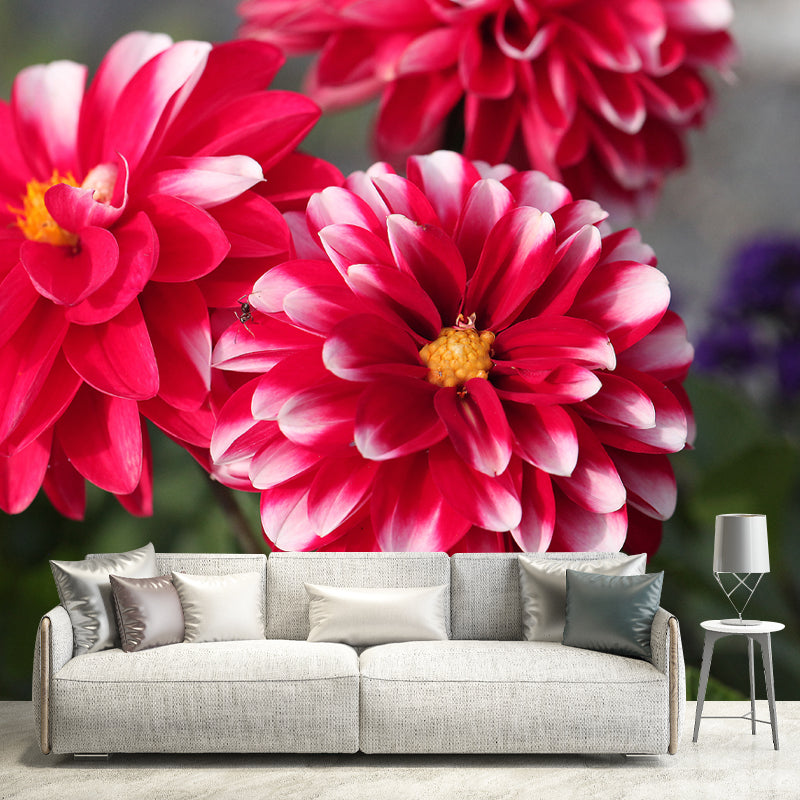 Bright Dahlia Mural Wallpaper Minimalist Wall Art, Customized Size Available