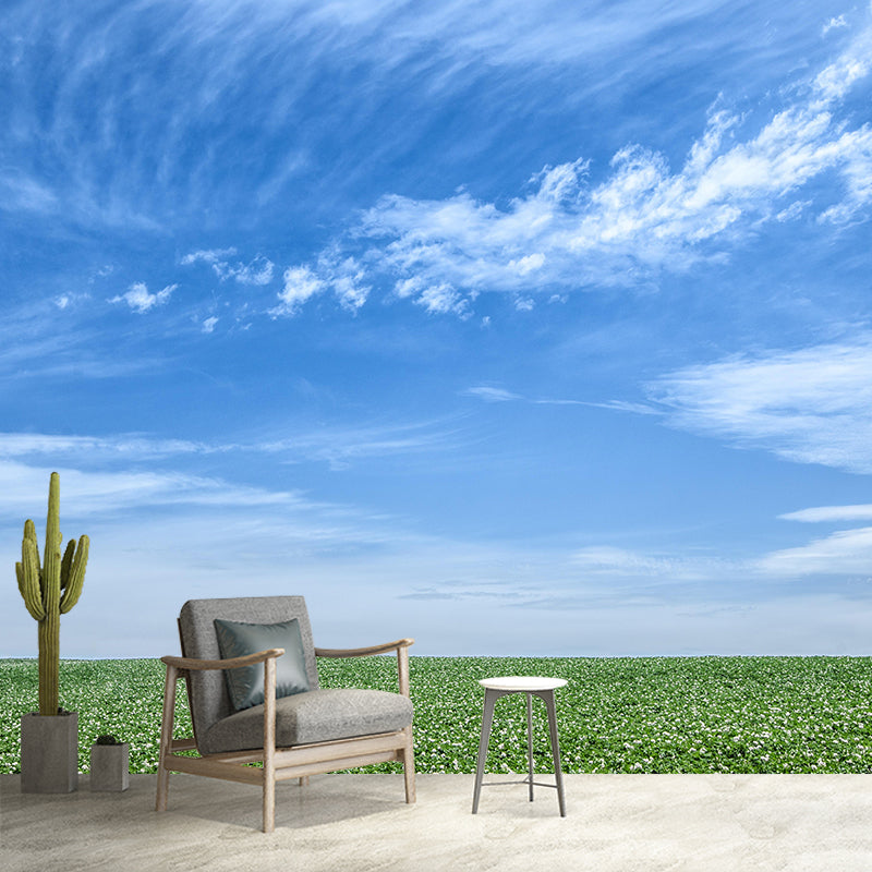 Customized Beautiful Sky Mural Mildew Resistant for Sleeping Room Decoration