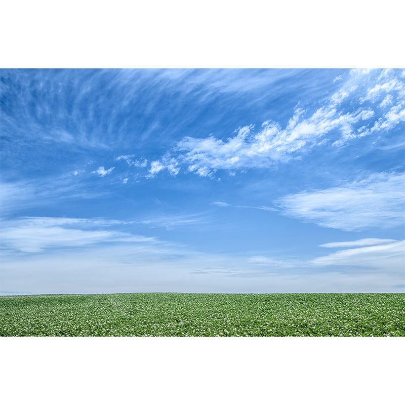 Customized Beautiful Sky Mural Mildew Resistant for Sleeping Room Decoration