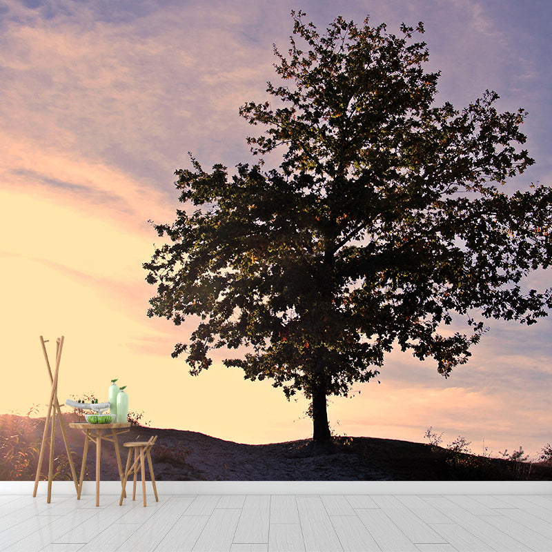 Customized Beautiful Sky Mural Mildew Resistant for Sleeping Room Decoration