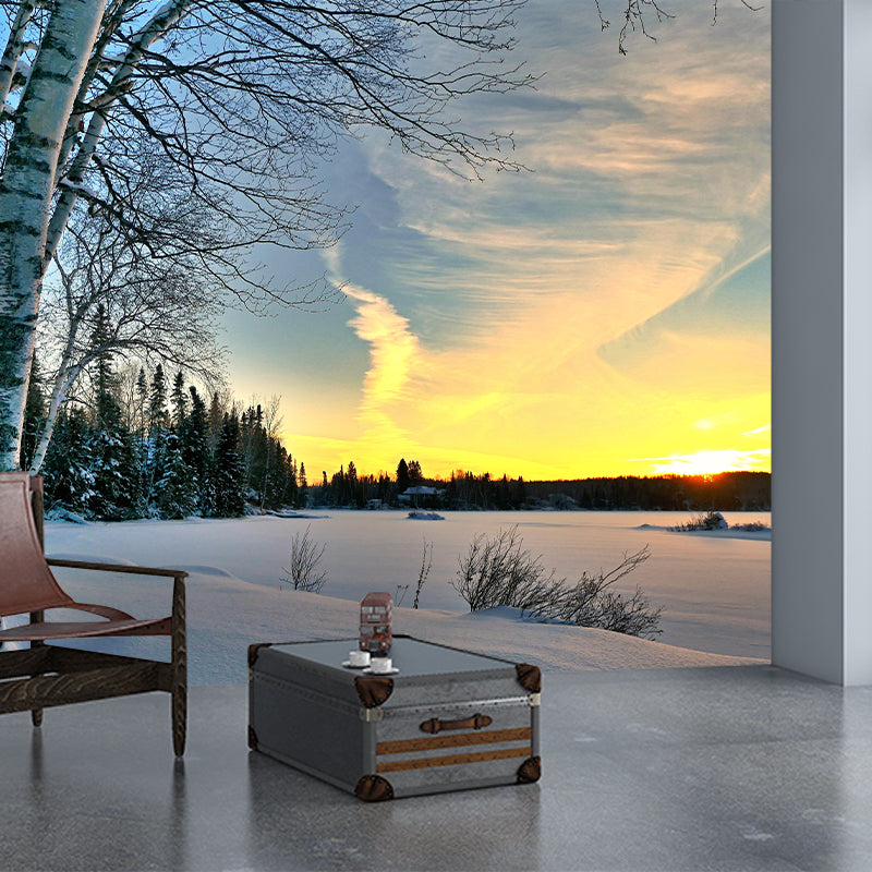 Customized Beautiful Sky Mural Mildew Resistant for Sleeping Room Decoration