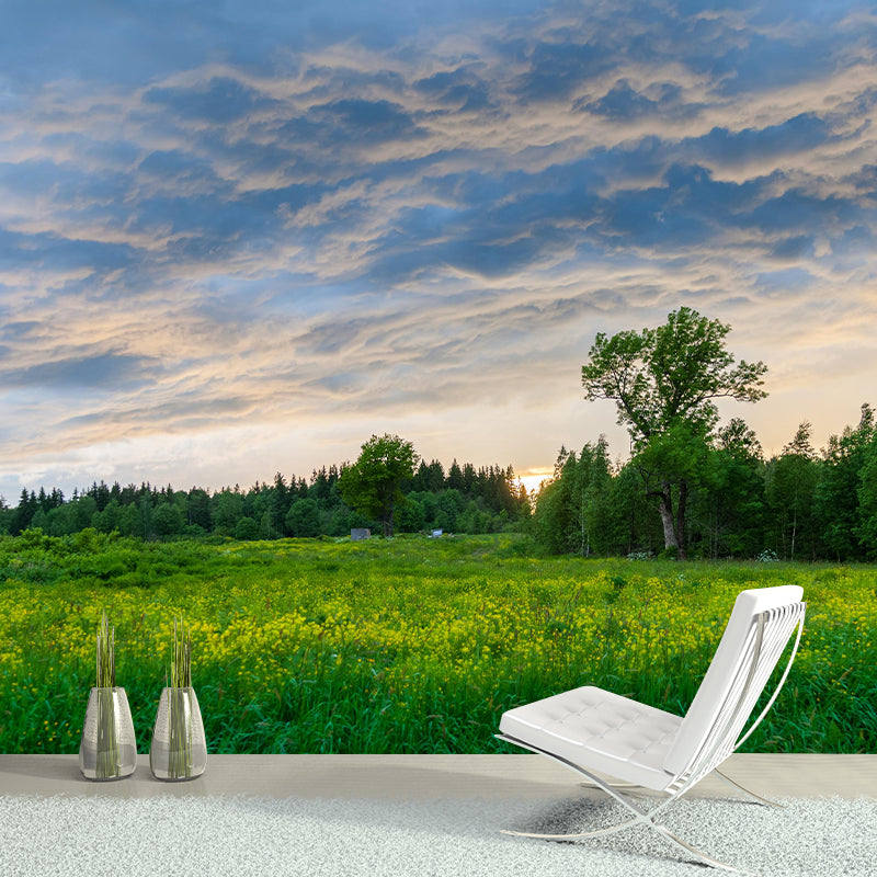 Customized Beautiful Sky Mural Mildew Resistant for Bedroom Decoration