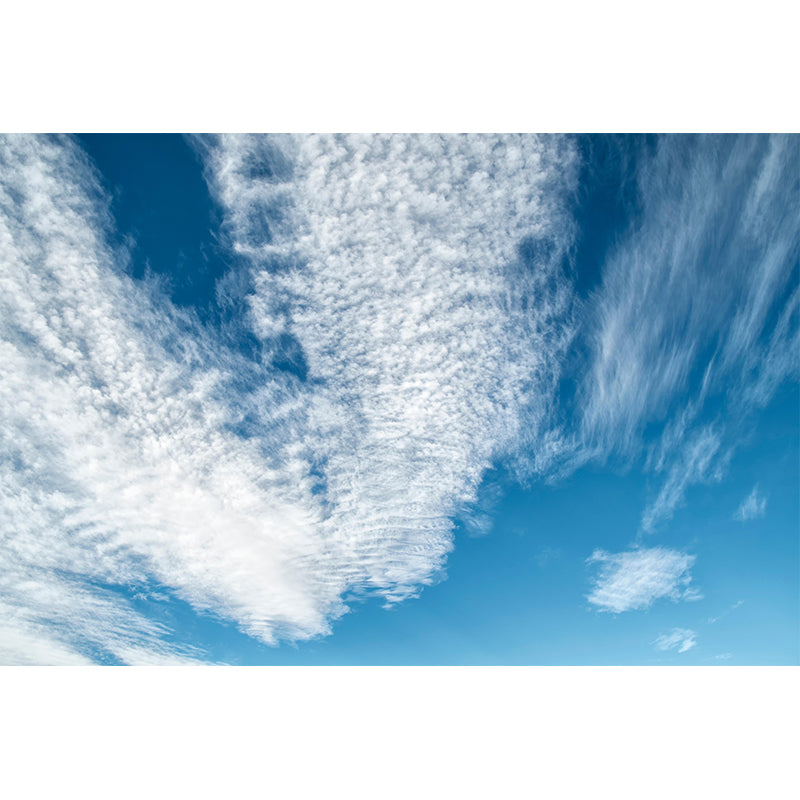 Customized Beautiful Sky Mural Eco-friendly for Sitting Room Decoration