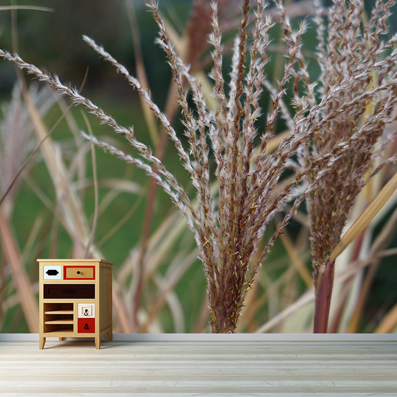 Grass Plant Murals for Bedroom Moisture Resistant, Custom Size Available