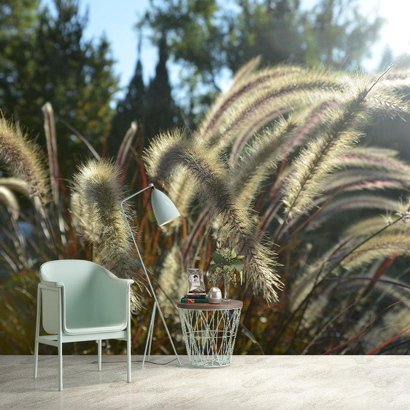 Modern Style Grass Plant Murals Wallpaper for Living Room, Custom Size Available