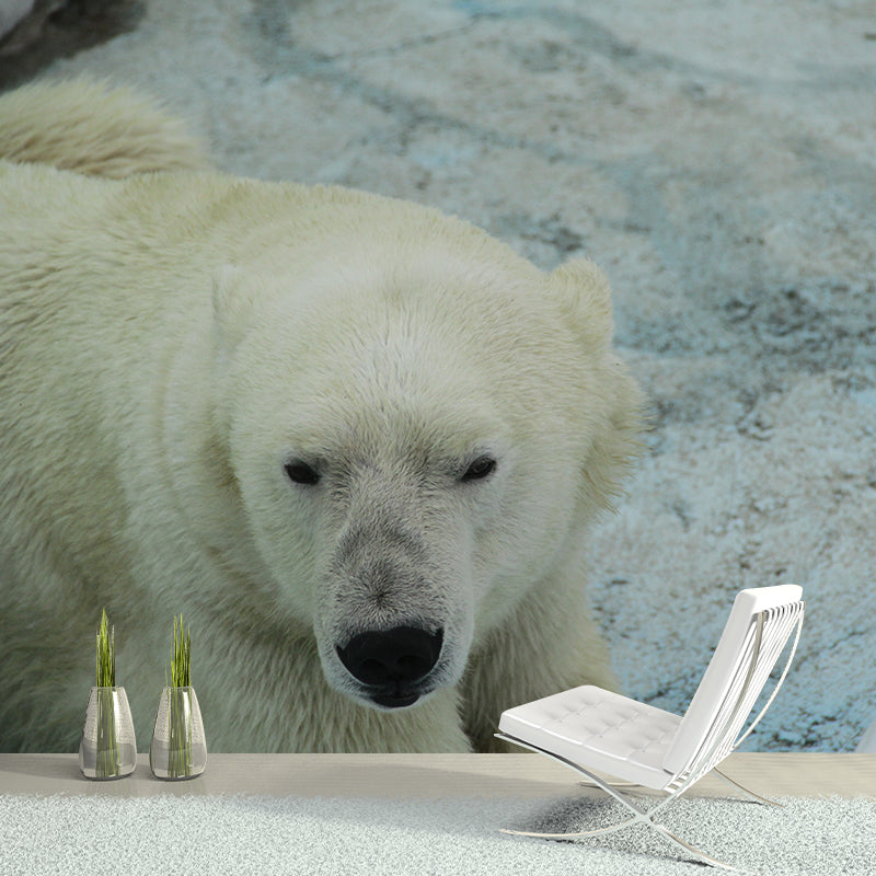 Bear Animal Wall Mural Sitting Room Bedroom Decor, Multiple Sizes Available