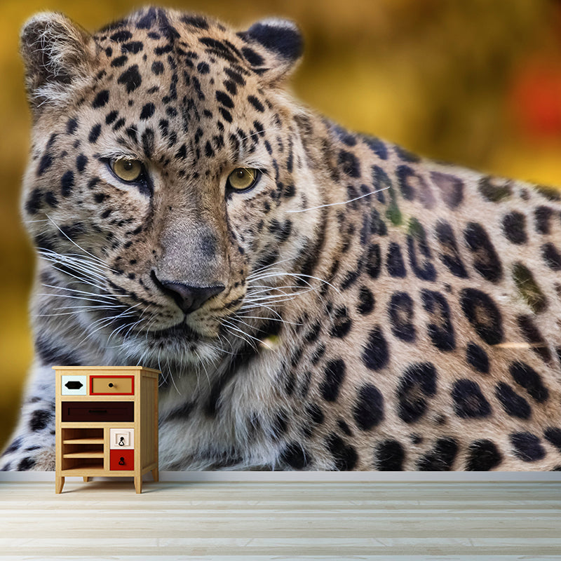 Leopard Mural Wallpaper for Sitting Room Decor Multiple Sizes Available