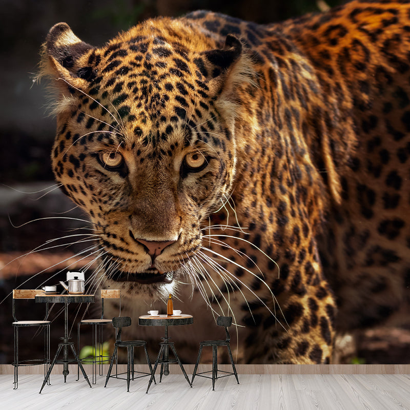 Leopard Mural Wallpaper for Sitting Room Decor Multiple Sizes Available