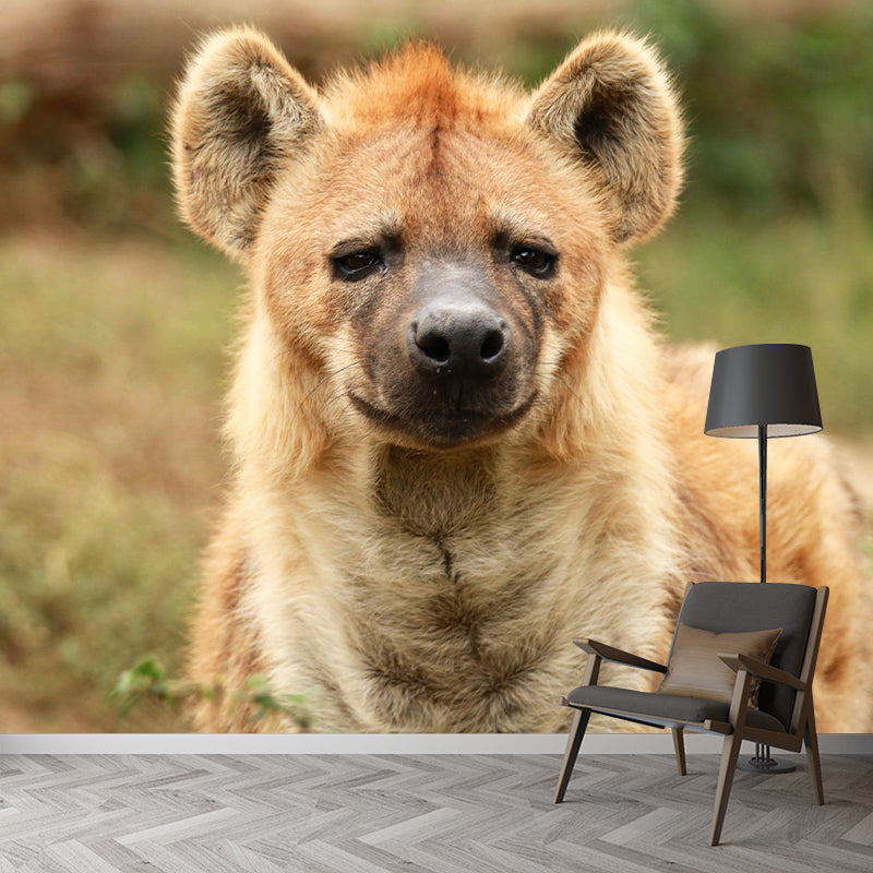 Hyena Mural Wallpaper Living Room Decoration, Personalized Size Available