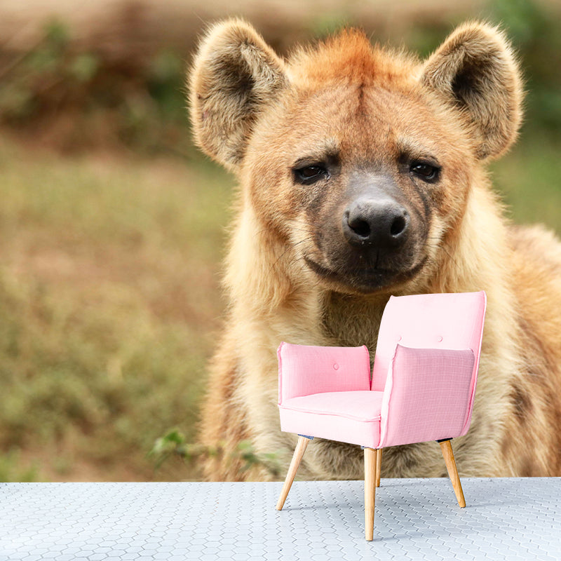 Hyena Mural Wallpaper Living Room Decoration, Personalized Size Available