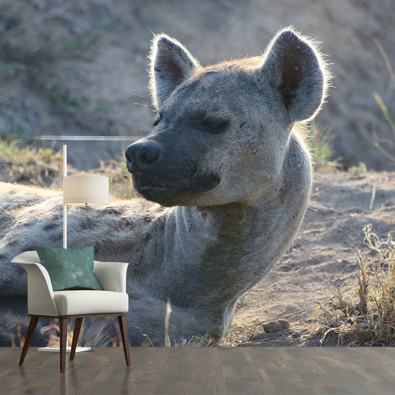 Hyena Mural Wallpaper Living Room Decoration, Personalized Size Available