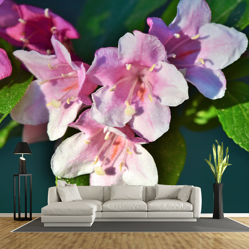 Jasmin Contemporary Style Mural Wallpaper Wall Covering for Living Room Decoration