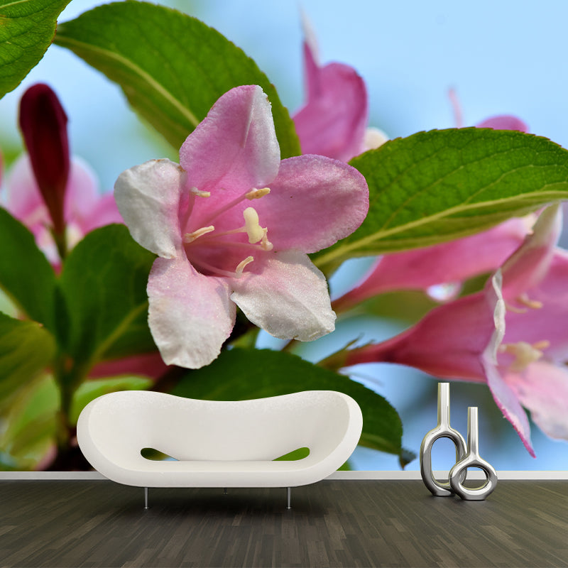 Jasmin Contemporary Style Mural Wallpaper Wall Covering for Living Room Decoration