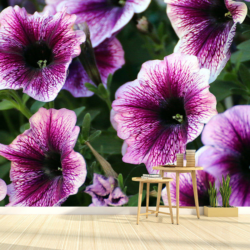 Petunias Contemporary Wall Covering for Living Room Bedroom, Made to Measure