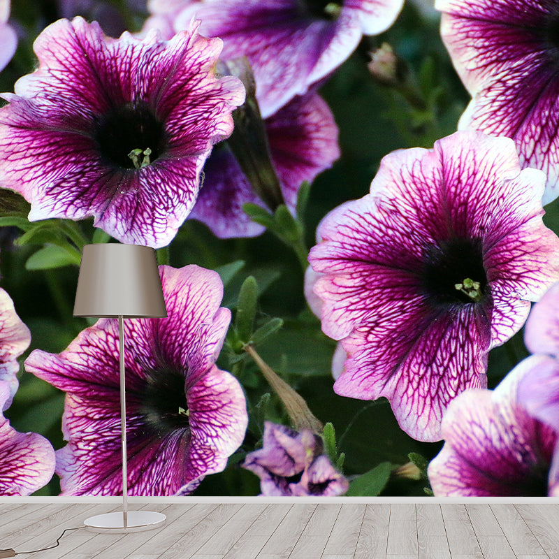 Petunias Contemporary Wall Covering for Living Room Bedroom, Made to Measure