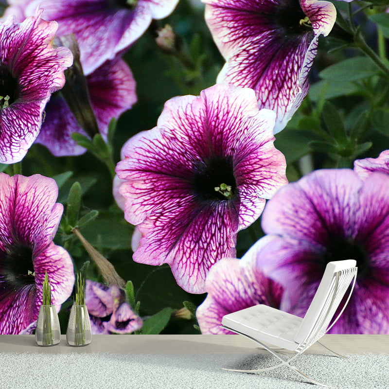 Petunias Contemporary Wall Covering for Living Room Bedroom, Made to Measure