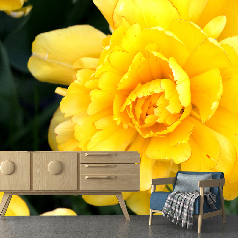 Elegant Peony Flower Mural Environment Friendly Wallpaper for Girl's Bedroom