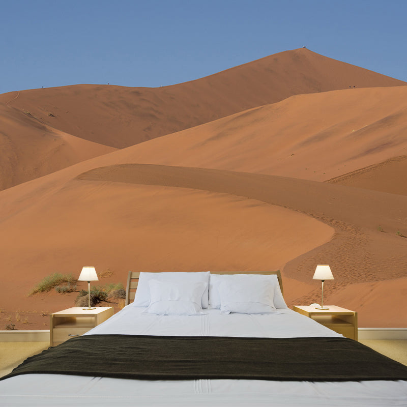 Customized Desert Wall Mural Contemporary Photography for Kitchen Living Room