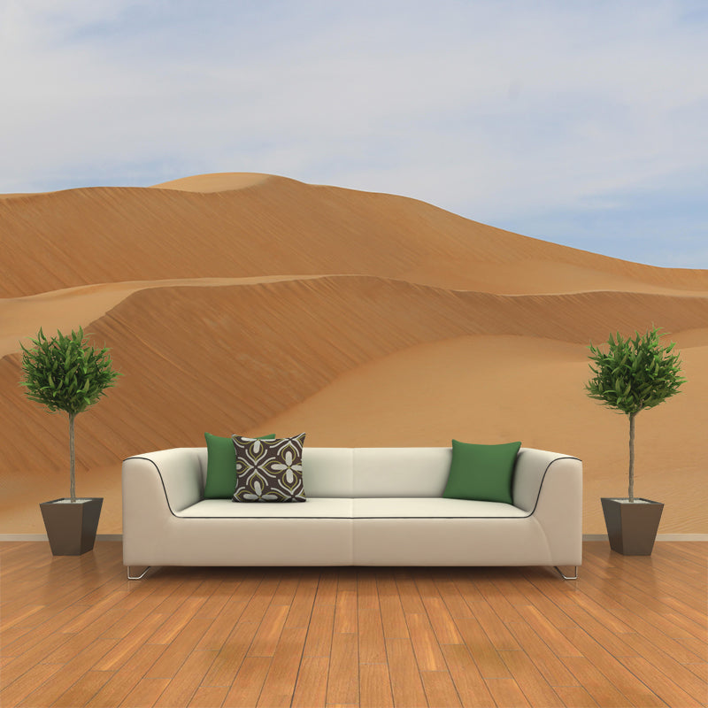 Customized Desert Wall Mural Contemporary Photography for Kitchen Living Room