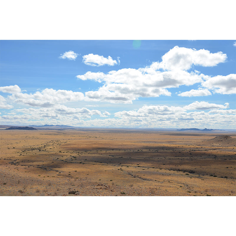 Customized Desert Wall Mural Contemporary Photography for Kitchen Living Room