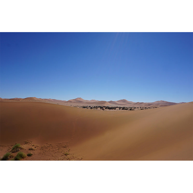 Desert Mural Wallpaper Horizontal Photography Style for Sleeping Room Decor