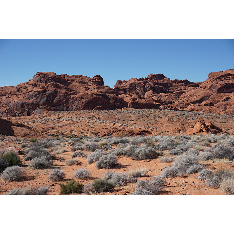 Horizontal Photography Desert Mural Wallpaper Style for Living Room Decor