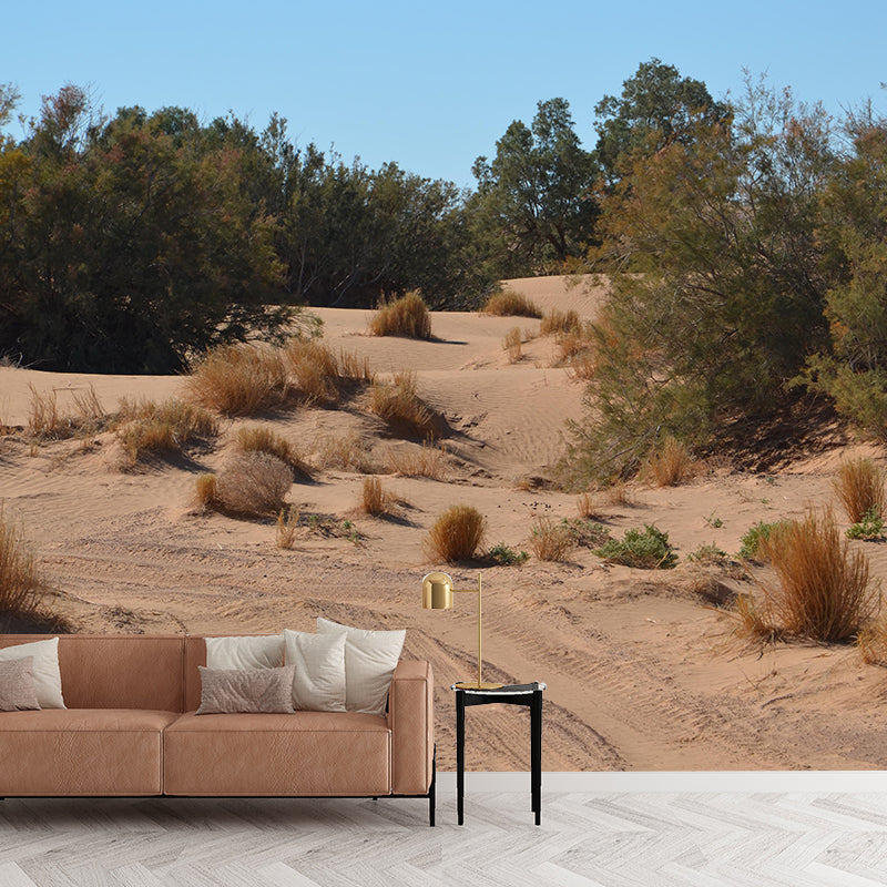 Desert Mural Wallpaper Horizontal Photography Style for Guest Room Decor