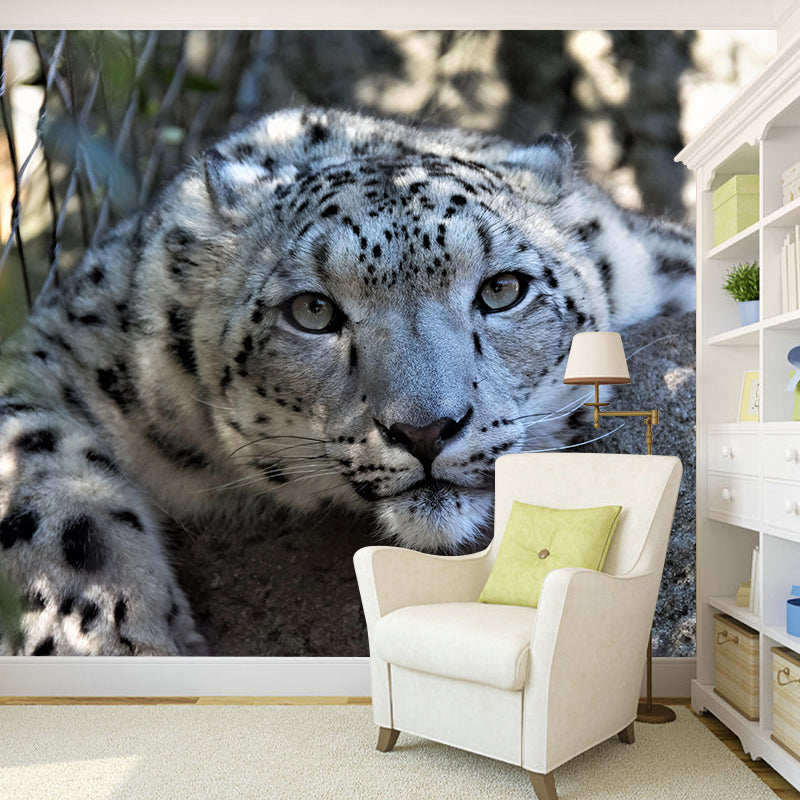 Customized Leopard Wall Mural Contemporary Photography for Bedroom Living Room