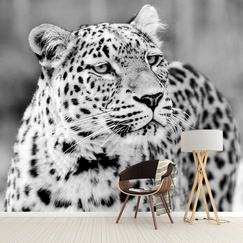 Customized Leopard Wall Mural Contemporary Photography for Bedroom Living Room