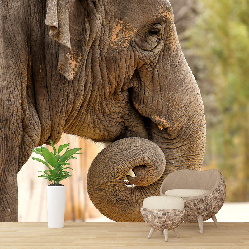 Customized Elephant Wall Mural Contemporary Photography for Bedroom Living Room