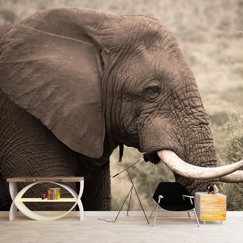 Customized Elephant Wall Mural Contemporary Photography for Bedroom Living Room