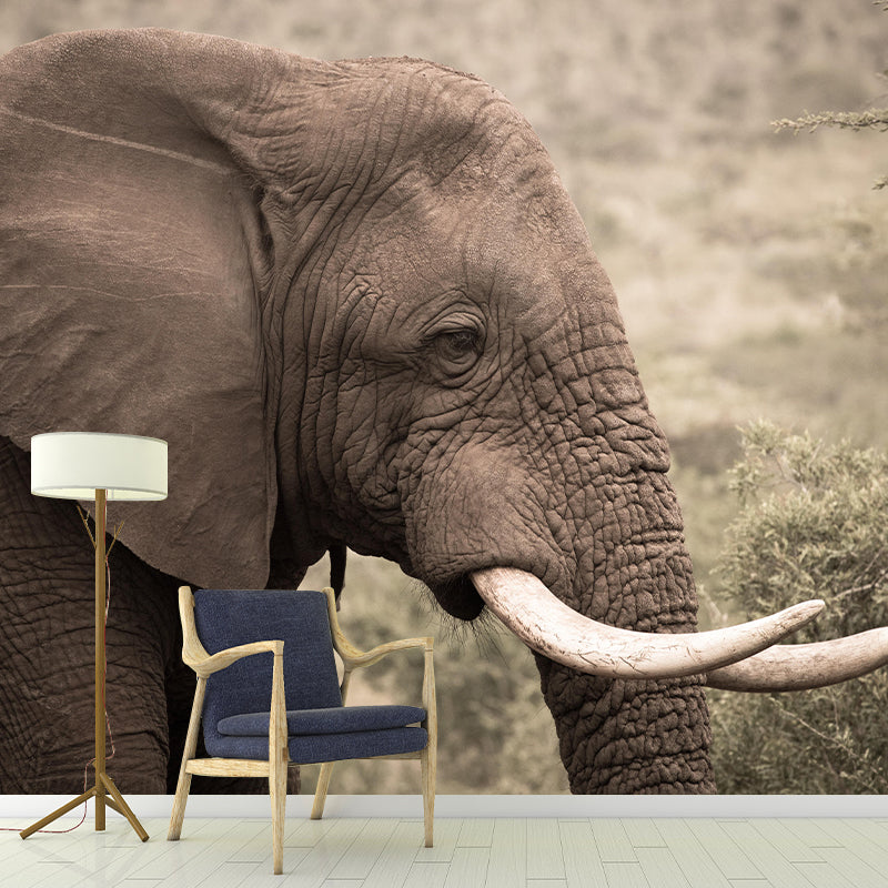 Customized Elephant Wall Mural Contemporary Photography for Bedroom Living Room