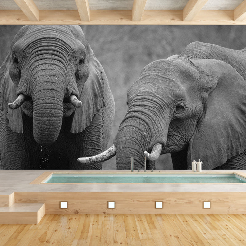 Customized Elephant Wall Mural Contemporary Photography for Bedroom Living Room