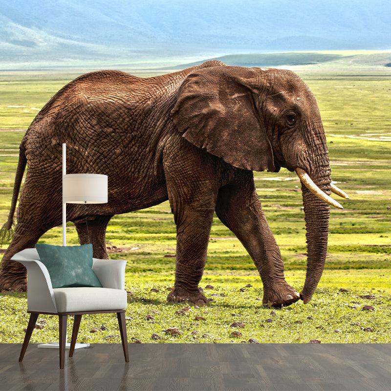 Customized Elephant Wall Mural Contemporary Photography for Bedroom Living Room