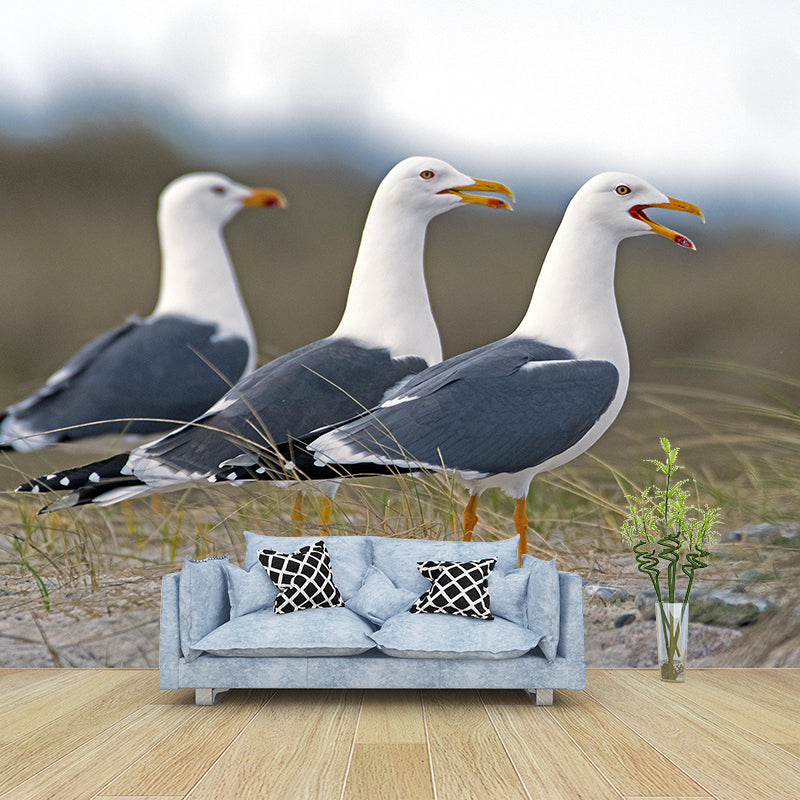 Photography Seagull Mural Wallpaper Environment Friendly for Living Room